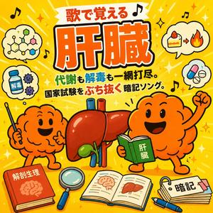 【歌で覚える肝臓】代謝も解毒も一網打尽。国家試験をぶち抜く暗記ソング