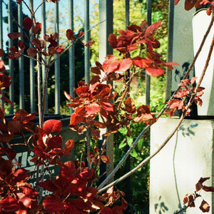 When You Need Somebody