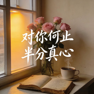对你何止半分真心