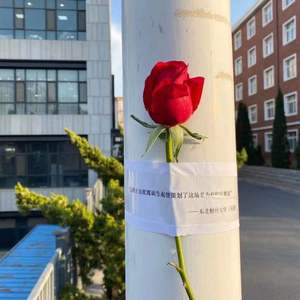 嘿，小北（cover 程安）