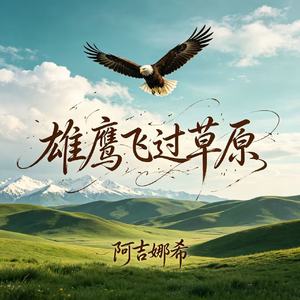 雄鹰飞过草原