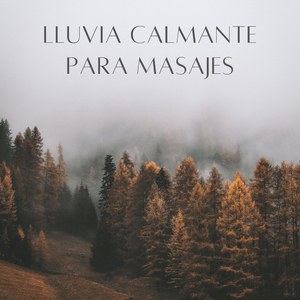 Tierra Empapada