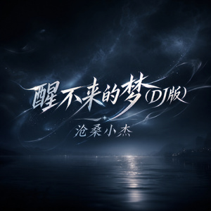 醒不来的梦(DJ版)