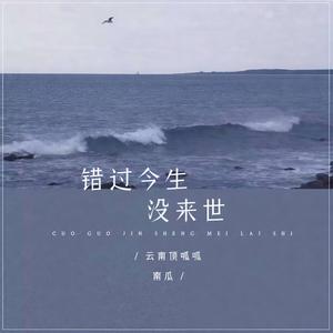 错过今生没来世 (DJ默涵版)