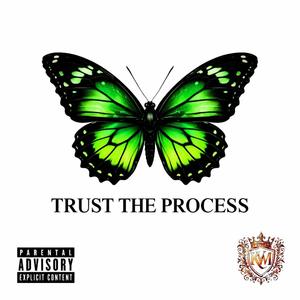 TRUST THE PROCESS