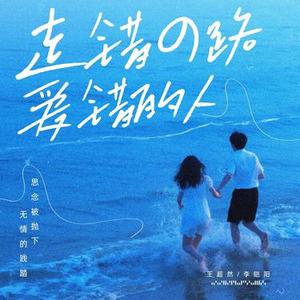 走错的路爱错的人