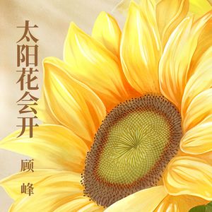 太阳花会开（伴奏）