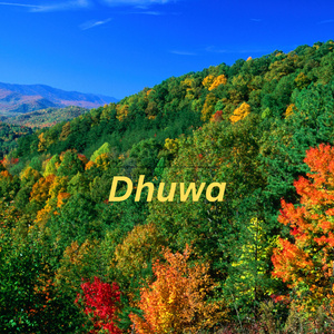 Dhuwa