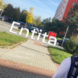 Entita