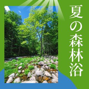 日差しを浴びる