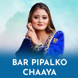 Bar Pipalko Chaaya