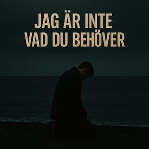 Jag är inte vad du behöver (feat. Stig Sandelman)