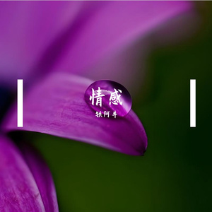 你是我未完成的夏天（雪）