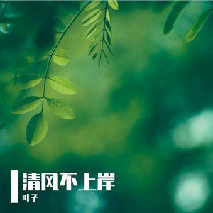 清风不上岸