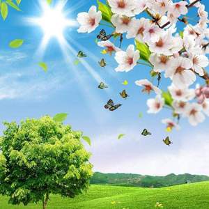 走路小心一点啊555