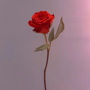 哪里都是你（女声）