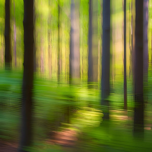 木漏れ日とそよ風の癒しBGM