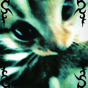 TAAU
