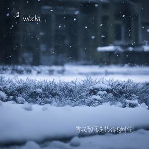 雪花飘落是想你的时候