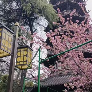 ab331fd3-a9c3-4d2f-b68c-cae652f4b730