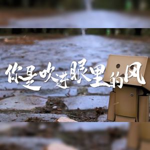 你是吹进眼里的风（Cover：谌宥）