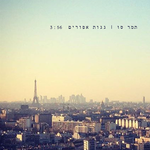 גגות אפורים