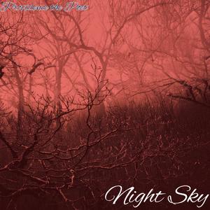Night Sky