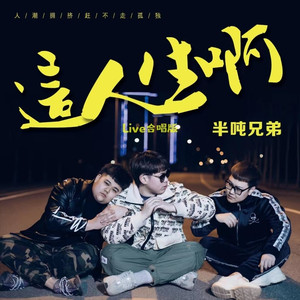 这人生啊 (Live合唱版)