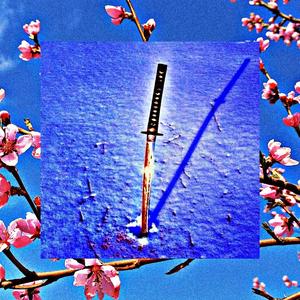 I view myself In 3rd person