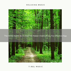 The White Noise All Hz And The Power Chord Of Joy Of 400Hz