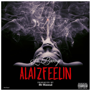 ALaizFeelin