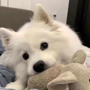 我的影子很懂事