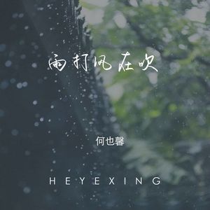 只有你让我流泪