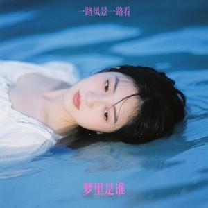 梦里是谁（Cover 王馨平）