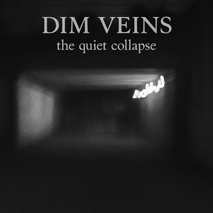 The Quiet Collapse (Demo)
