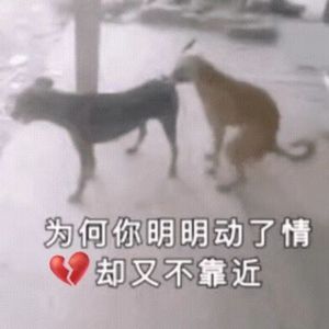 太痛了！妹儿！