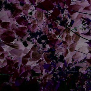 Sarah on the Butterflies