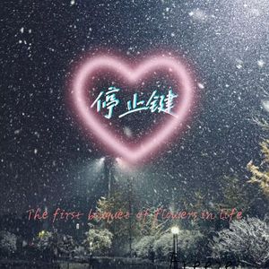 停止键（Prod.DIV INE MUSIC）