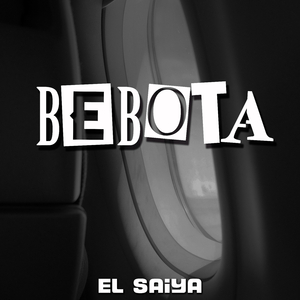 Bebota