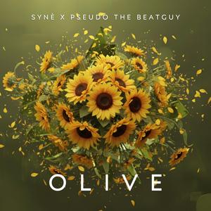 Rains (feat. Pseudo The Beatguy)