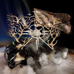 Just Met an Alien in the Swamp