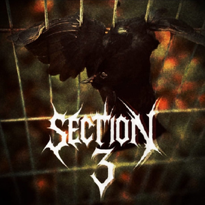 Section III