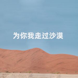 为你我走过沙漠