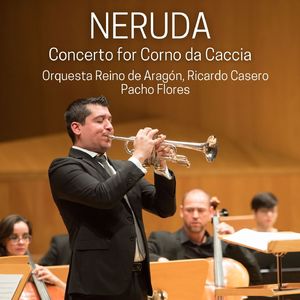 Concerto for Corno da Caccia in E-Flat Major:II. Largo