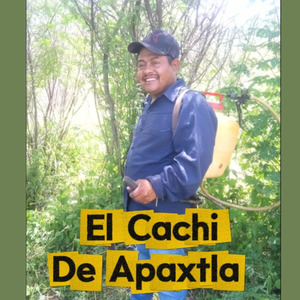 El Cachi de Apaxtla