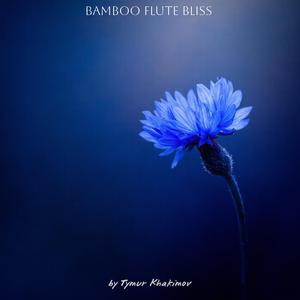 Tranquil Sound Odyssey