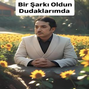 Bir Şarkı Oldun Dudaklarımda