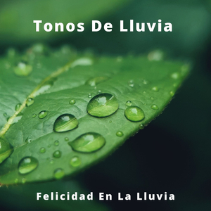 Música Para Concentrarse