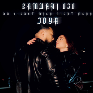 Du Liebst Mich Nicht Mehr