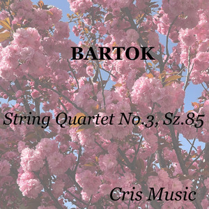 Bartok: String Quartet No.3, Sz.85: IV. Coda: Allegro molto